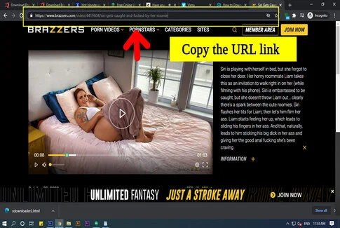 Free Brazzers Vids