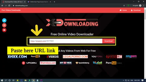 download any porn video