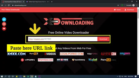 Porn Video Downloader